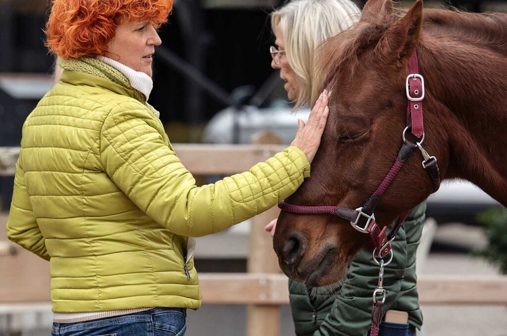 Pferdegestütztes Coaching mit einfühlsamer Begleitung Pferdegestütztes Coaching mit einfühlsamer Begleitung