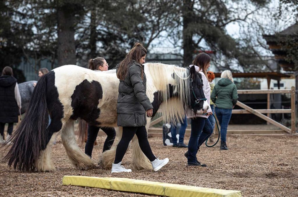Gruppencoaching auf Anfrage Gruppencoaching auf Anfrage