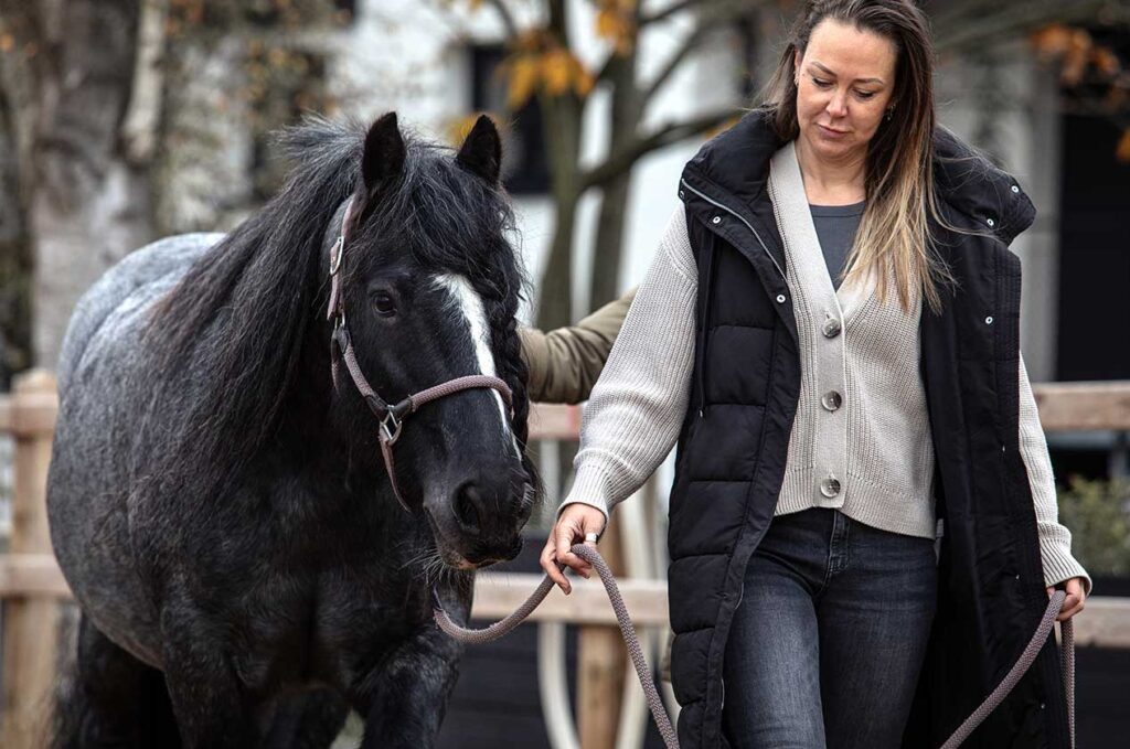 Pferdegestütztes Coaching, Interaktion mit Pferden Pferdegestütztes Coaching, Interaktion mit Pferden