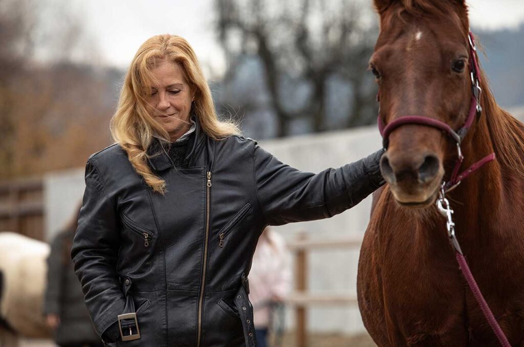 wertfreie-kommunikation-mit-pferde wertfreie Kommunikation mit Pferde