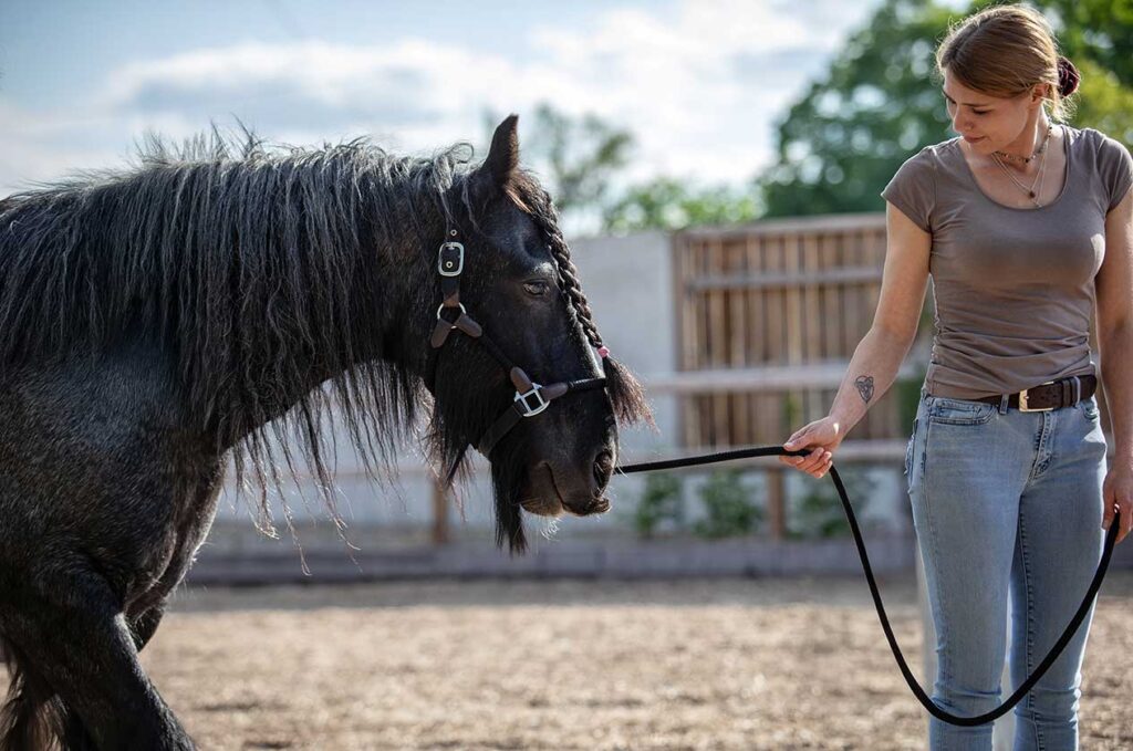 coaching-mit-einfuehlsamer-begleitung02