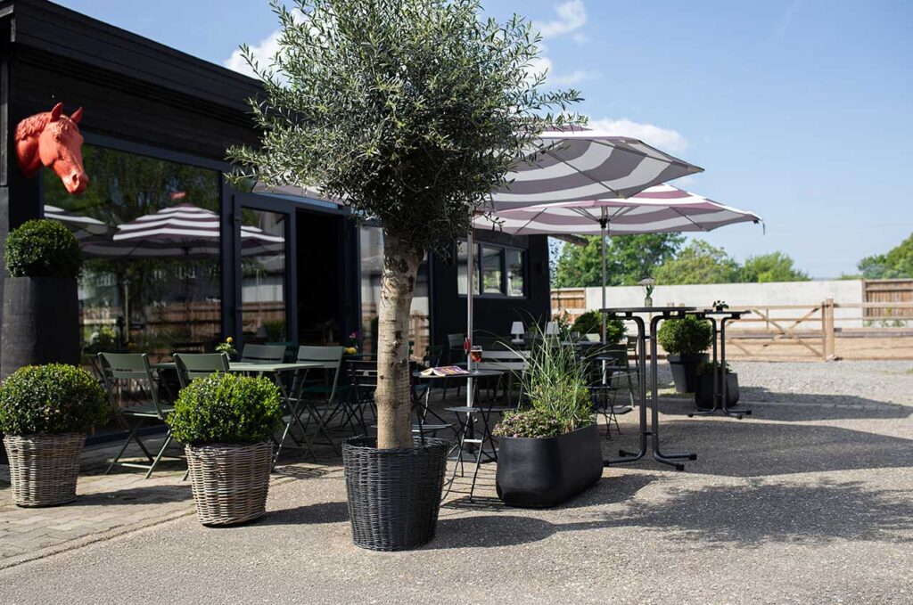 der-raum-gutzubleiben-aussenbereich