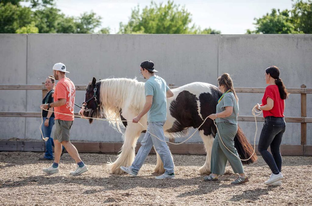 pferdegestuetztes-gruppencoaching-mit-janina02